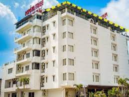 Papaya Tree Hotel-img