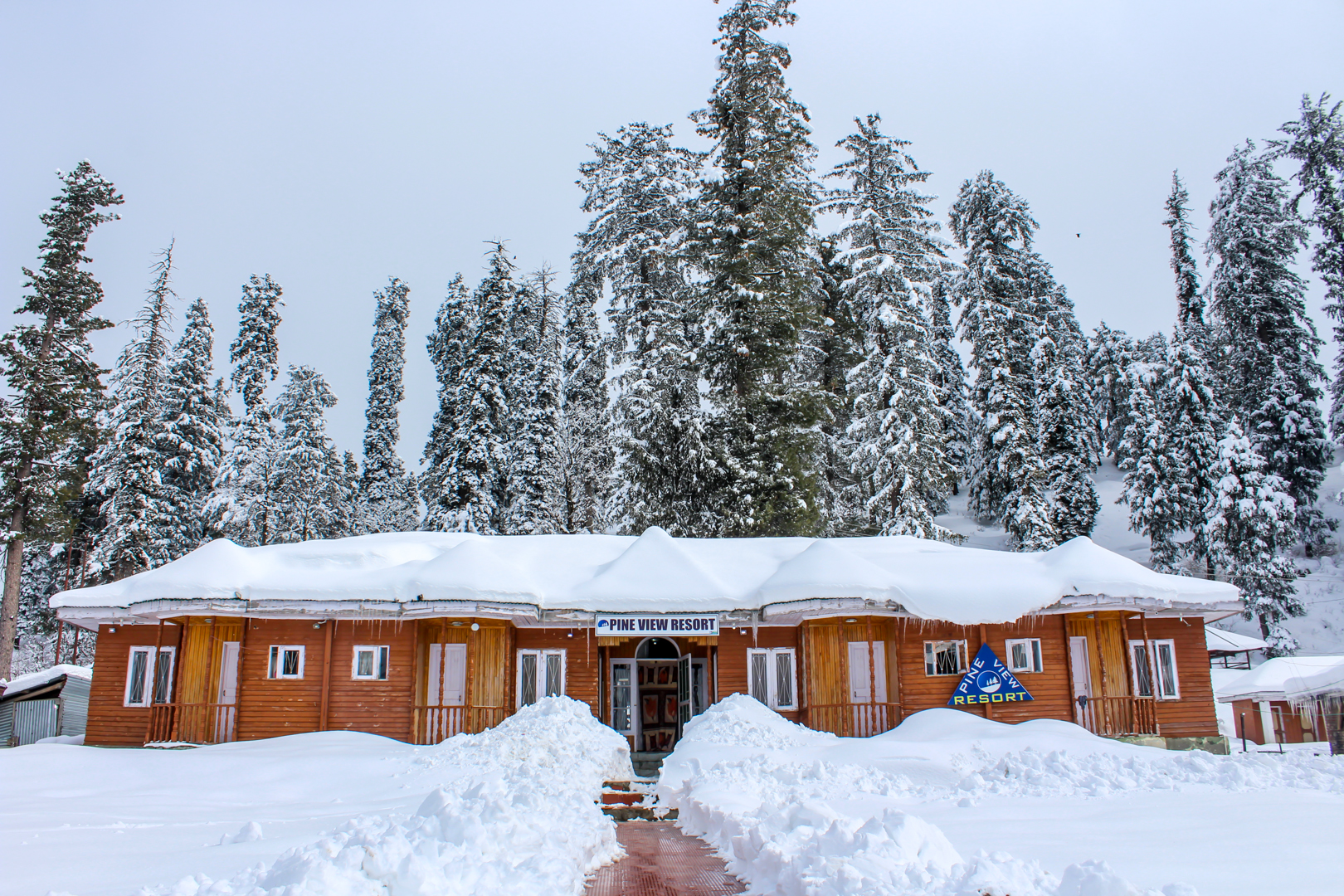Pine View Resort-img
