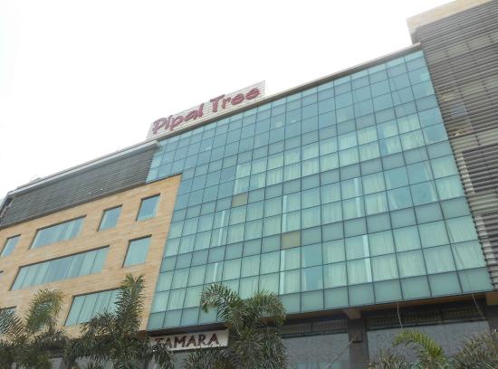 Pipal Tree Hotel Kolkata-img
