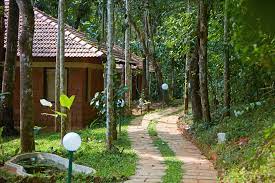 Raindrops Resorts-img