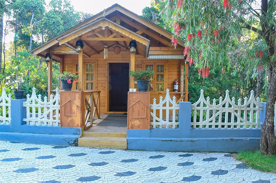 Rainforest Munnar Resort-img