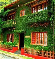 Raintree Lodge-img