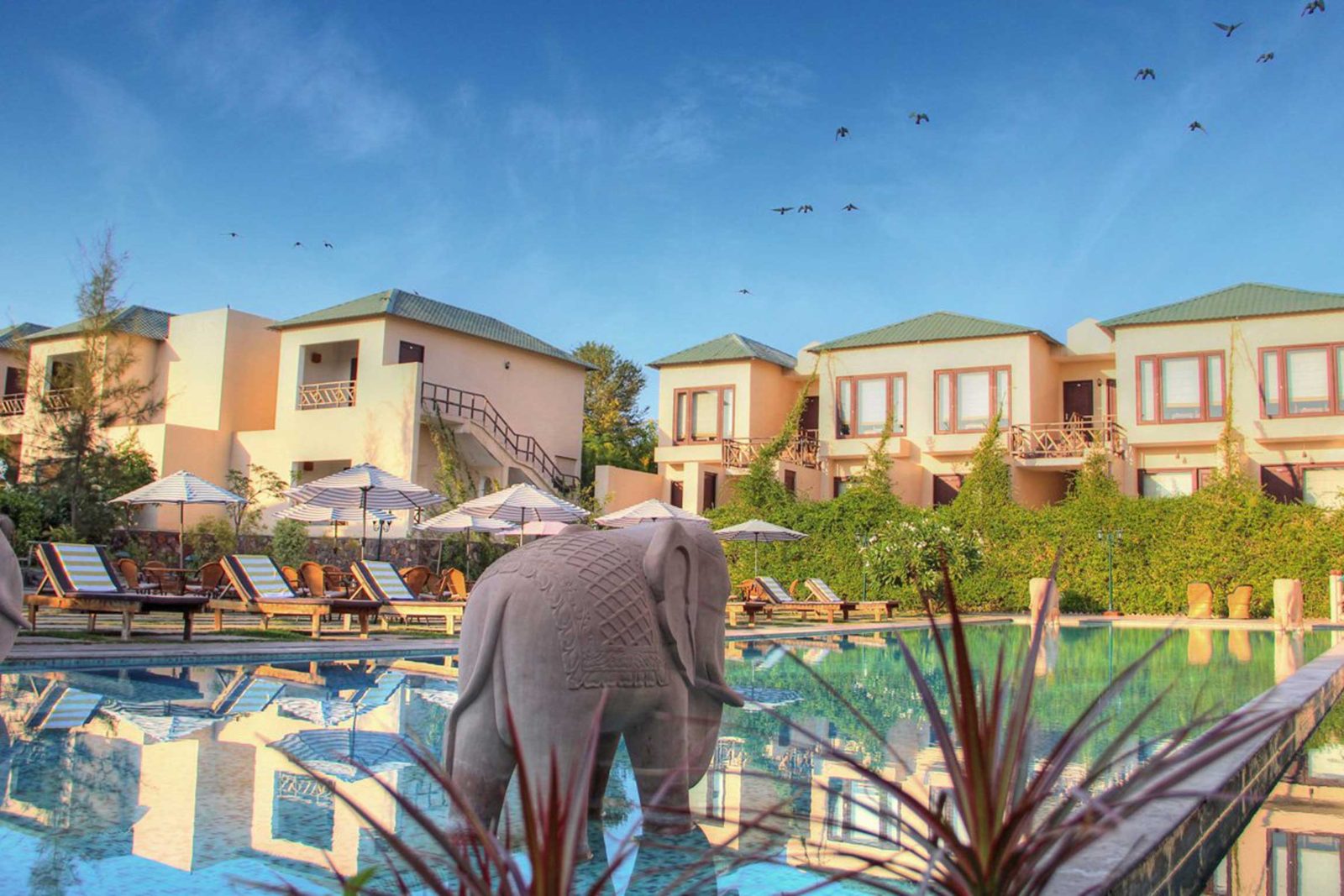 Ranthambore Kothi-img