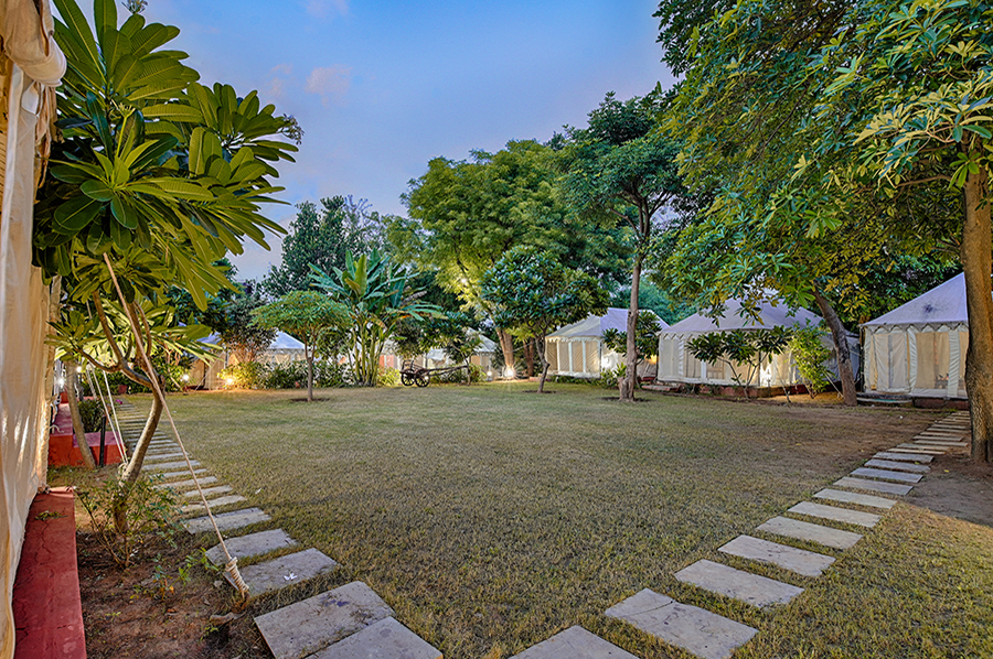 Ranthambore Tiger Resort-img