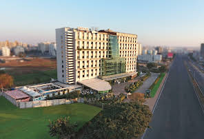 Sayaji Hotel-img