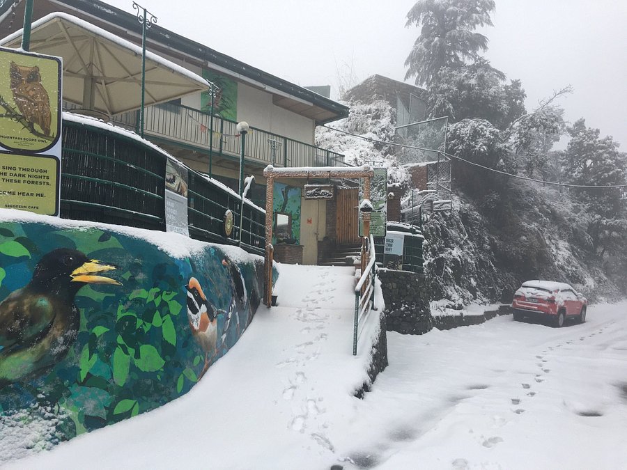 Seegreen Lodge, Mussorie-img