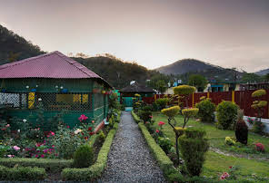 Silver Tree Inn-img