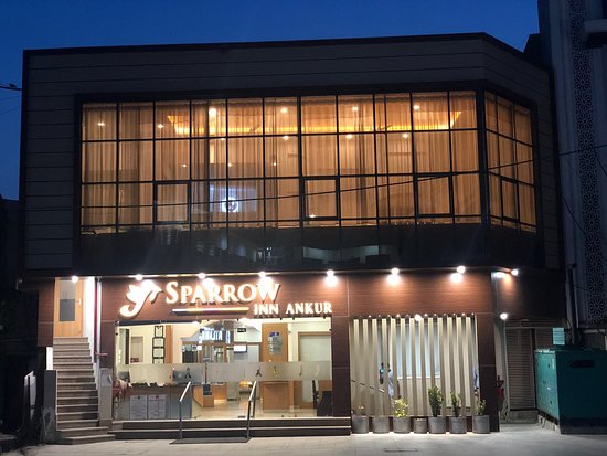 Sparrow Inn, Alwar-img