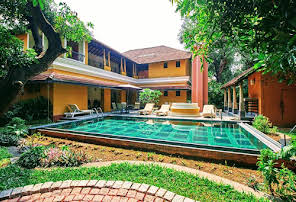 Tea Bungalow-img