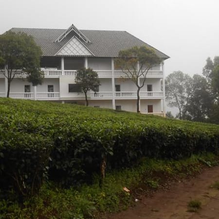 Tea Garden Riverside-img