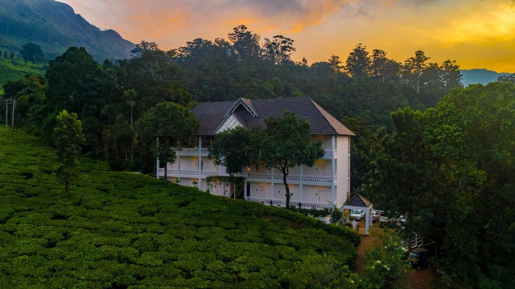 Tea Harvester, Munnar-img