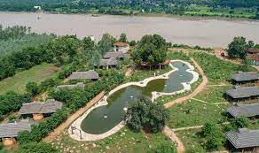 Tendu Leaf Jungle Resort-img