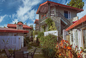The Birdcage-img