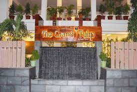 The Grand Tulip-img