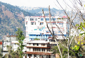 The Hotel White House Chamba H.P-img