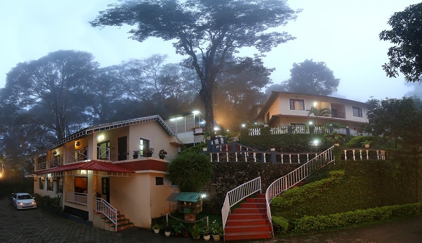 The New Whispering Meadows-img