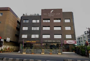 The Purple Leaf Hotel-img