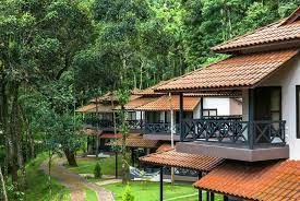 The Serenity Resort-img