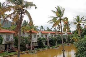 The Windflower Resorts and Spa-img
