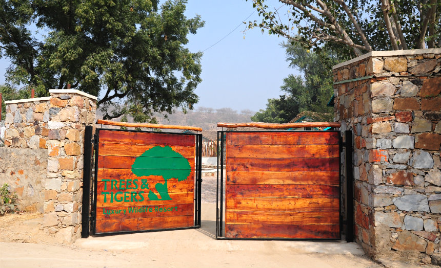Trees N Tigers Sariska-img