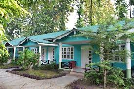 Tuskers Den Forest Resort-img