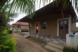 Vaanya Earth Resort-img