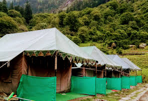 Valley of flowers Camp Ghangria-img