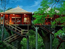 Vanya Tree House-img