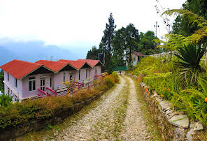 Wild Flower Retreat, Borong-img