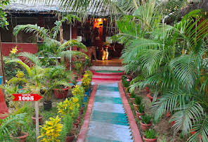 WildDunes Konark-img