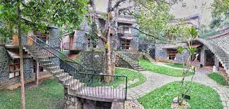 Wildernest-img