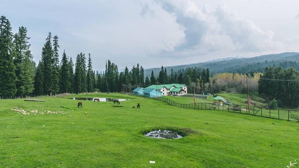 yusmarg-img