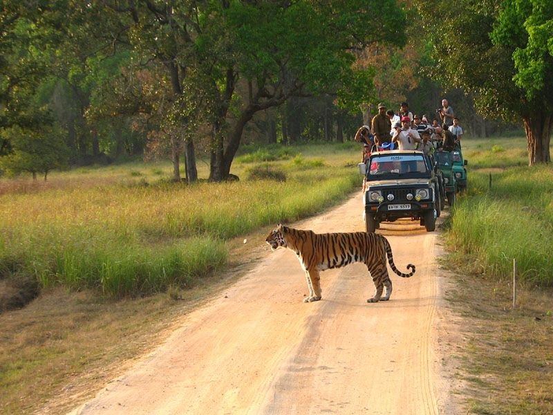 khitauli-jeep-canter-safari-img