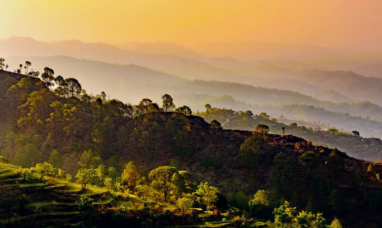 binsar-wildlife-sanctuary-img