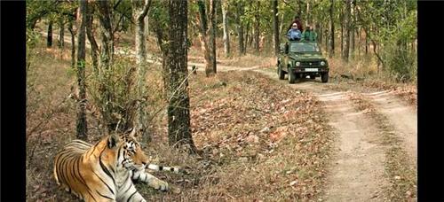 hazaribagh-national-park-img