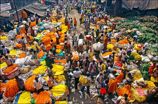 malik-ghat-flower-market-img