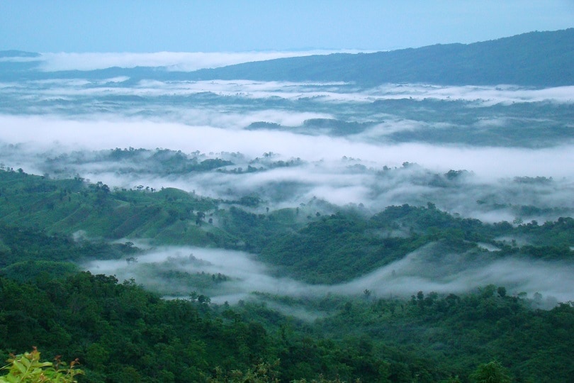 jampui-hills-img