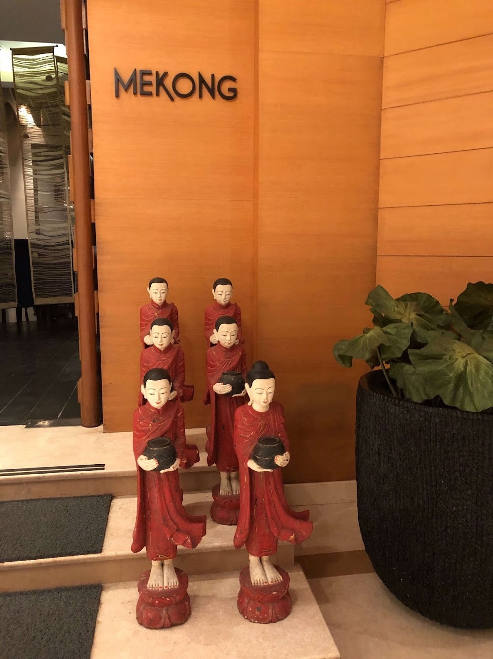 Mekong-img