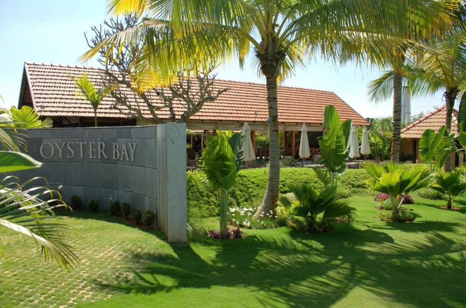 Oyster Bay-img