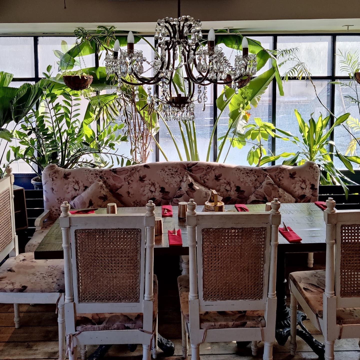 The Butler and the Bayleaf-img